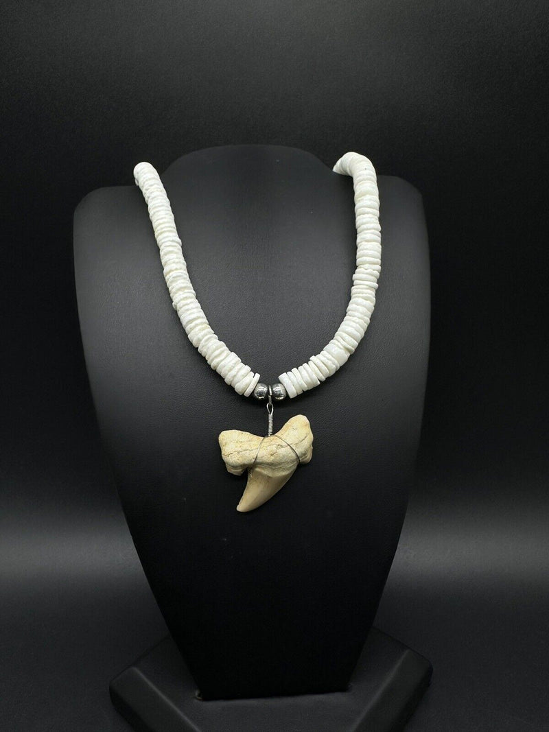 Shark Tooth Pendant Surfer Puka Necklace 17”