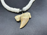 Shark Tooth Pendant Surfer Puka Necklace 17”